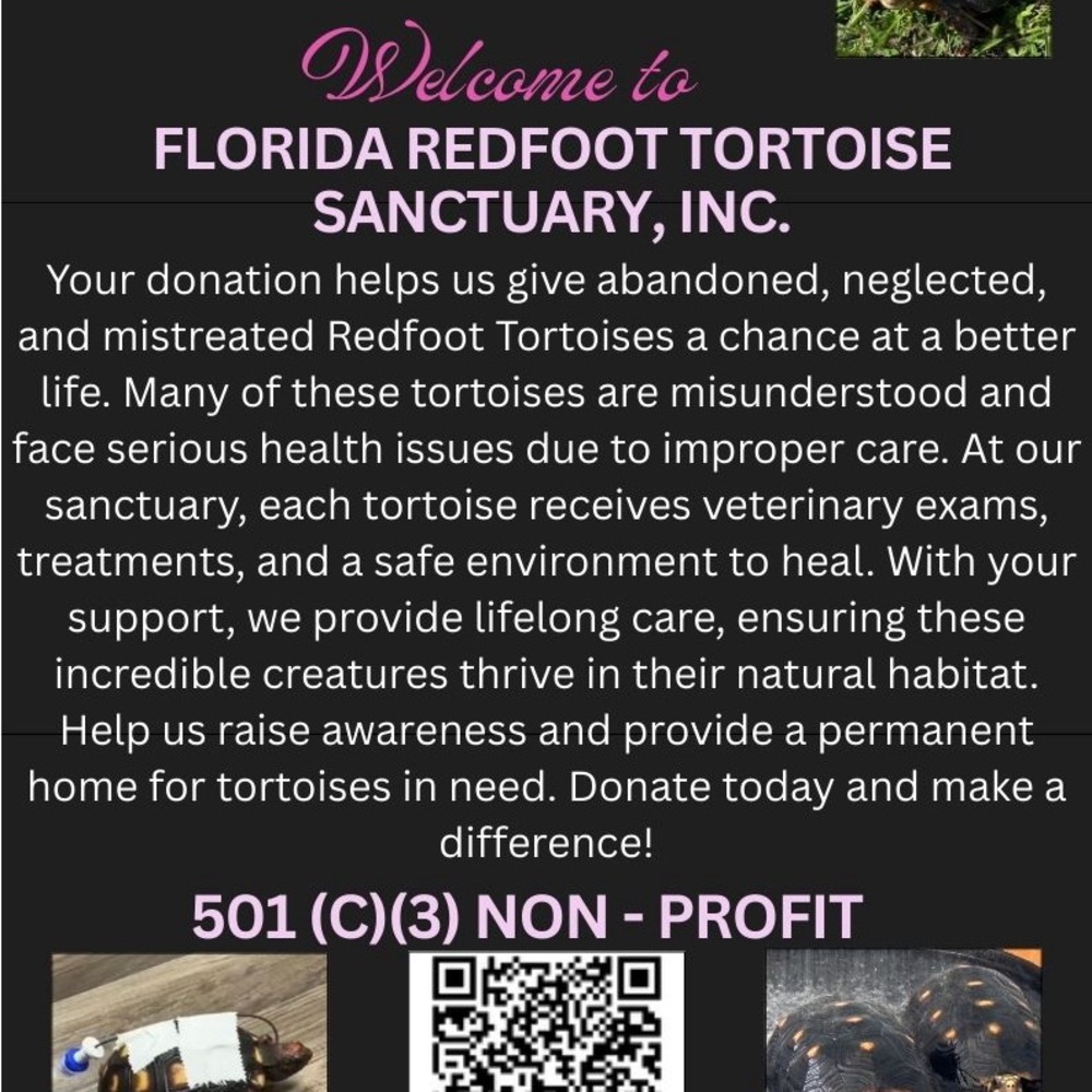 Let a Redfoot Tortoise help you with your taxes! Make a tax deductible donation